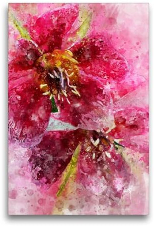 Premium Textil-Leinwand 50 x 75 cm Hochformat Premium Textil-Leinwand 50 cm x 75 cm hoch Aquarell einer roten Christrose | Wandbild, HD-Bild auf Keilrahmen, Wanddekoration, Kunstdruck von Anja Frost