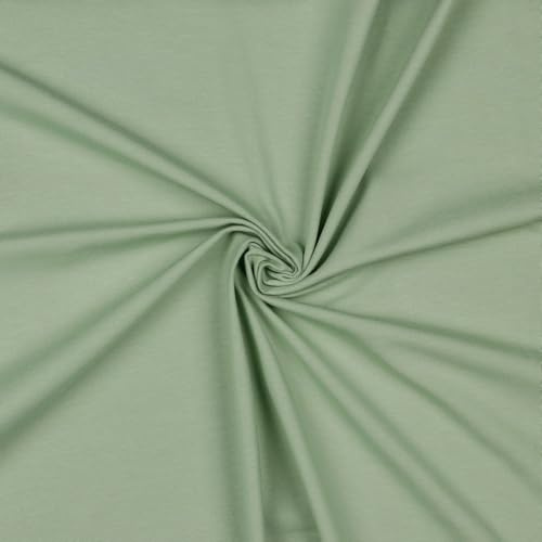 Jerseystoff Uni Meterware Tex Standard 100 + GOTS zertifiziert 69 Farben zur Auswahl (058 I Sage, 50 x 150cm)