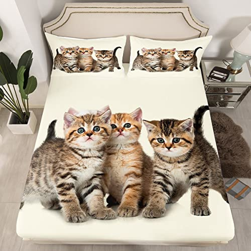Juego de Ropa de Cama de Gato para niñas y niños con Dibujos Animados y Gatos, sábana Bajera Ajustable para Gatito, Bonita Funda de Cama de Animales, sin sábana Plana, Regalo para Amantes de los Gato
