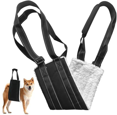 Aide au transport réglable pour chien, sangle de transport pour la rééducation et l'aide à la mobilité, aide à la marche portable pour chiens de taille moyenne et grande, soutien pour chiens âgés