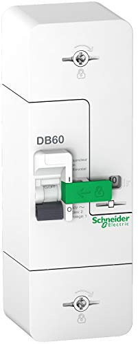 Schneider Electric - Resi9 DB60 - Disjoncteur Branchement - 1P+N - 15/30/45A - non différentiel - R9FN645