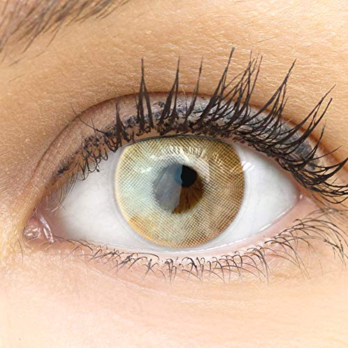 GLAMLENS Lenti a contatto colorate marroni Valencia Orange - mensili - con porta lenti a contatto - marrone naturali in silicone idrogel - 2 pezzi - DIA 14,20 - senza correzione 0.00 diottrie