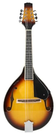 mandolina instrumento musical Mandolina profesional un instrumento estándar adecuado para principiantes(02)