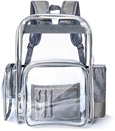 SPEEDEVE Zaino Trasparente Borsa Da Scuola Impermeabile Zaino Giornaliero Casual,Grigio,L