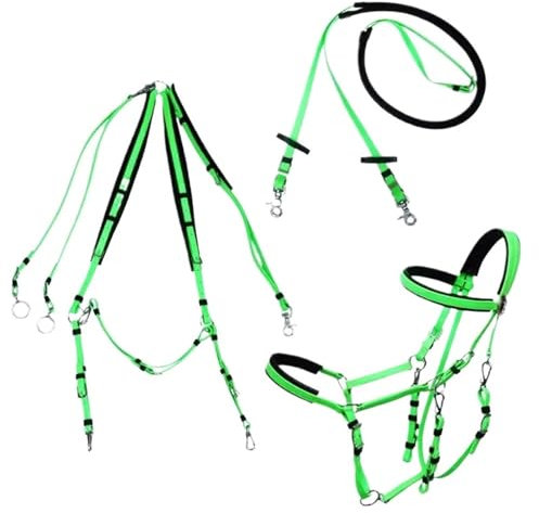 LYFDPN Redini per Cavalli Sella per Cavalli Briglia da Equitazione di Resistenza Set Completo per l'endurance e Il Trail Riding (PVC Green)