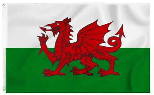 Storm&Lighthouse Welsh Flag Cymru Wales Flag 5ft x 3ft with Eyelets St Davids Day Red Dragon Six Nations UK