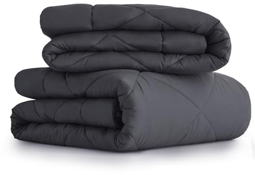 CozyLux Trapunta 240 x 260 cm stagione 2 pezzi – Con piumino per tutte le stagioni 260 x 240 300 g/m² + piumino estivo 240 x 260 cm 150 g/m²