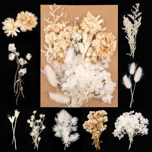 Trockenblumen Zum Basteln, Natürliche Gemischte Getrocknete Blumen Weiß | für DIY Epoxidharz Scrapbook Zubehör Handwerk Karten