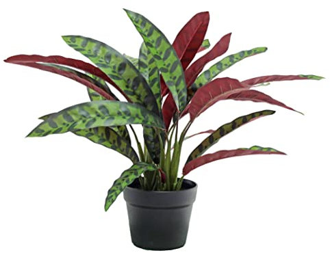 Blooming Artificial Plants Indoors in Pots, Faux Decorative Foliage, No Hassle, Easy Care, Perfect for Bringing Life to Indoor Spaces (Rattlesnake Calathea) (Green) (50cm)