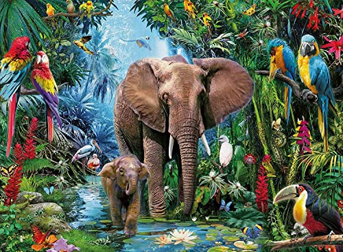 AveJoys Puzzle 1000 Teile Erwachsene Elefant Papagei & Regenwald 70 x 50 cm Puzzles für Erwachsene Lernspiel Herausforderungsspielzeug