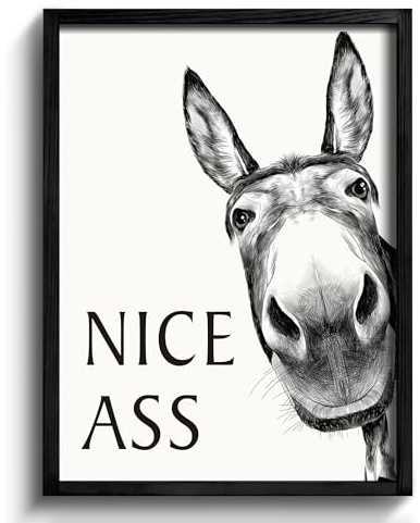 Heiple Framed Bathroom Art Bathroom Wall Decor Farmhouse Home Decor Sets Vintage Funny Wall Art Signs (Black, 11x14)