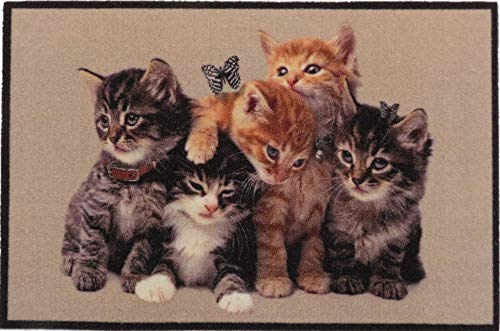 oKu-Tex Design Fußmatte Katzen Kätzchen Kitten, lustiges & niedliches Motiv, rutschfest & waschbar, Deko Dekorativ, braun, 40 x 60 cm, Kleine Katzen