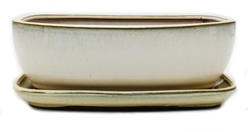 exotenherz Bonsai-Schale mit Unterteller Gr. 5 - Hellbeige - rechteckig - Modell GB5 - L 31cm - B 25cm - H 10cm