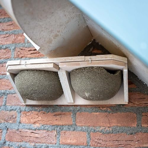 CJ Wildlife Nistkasten Mehlschwalbe – Nistkasten für Vögel für draußen wetterfest – Holz, Holzbeton, mit ausziehbarer Führungsschiene – 38 x 11 x 16 cm