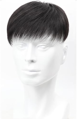 Tingyilan Herren Hair Tropper Natürliche Schwarz Kurze Männer Topper Perücke Echthaar Toupet Ersatzsysteme mit 4 Clips & 10 doppelseitigen Bändern,Natural,16x18cm