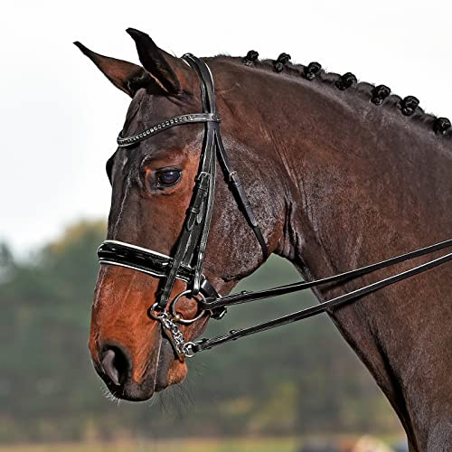 Busse