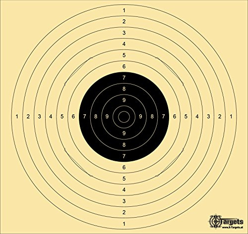 Große *Standard Target XLS* / 55x52 cm/geschlitzt/Schießscheibenkarton 200 g/m²