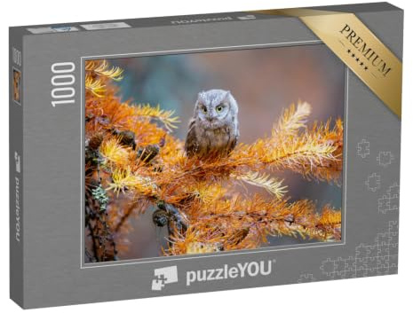 puzzleYOU: Puzzle 1000 Teile „Zwergohreule, Otus scops, eine typische Eule“ – aus der Puzzle-Kollektion Eulen, Vögel, Exotische Tiere & Trend-Tiere