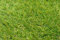 HERSIG - Rollo de Cesped Artificial 1 x 5 Metros - 30 mm de Altura - Cesped Artificial Exterior e Interior