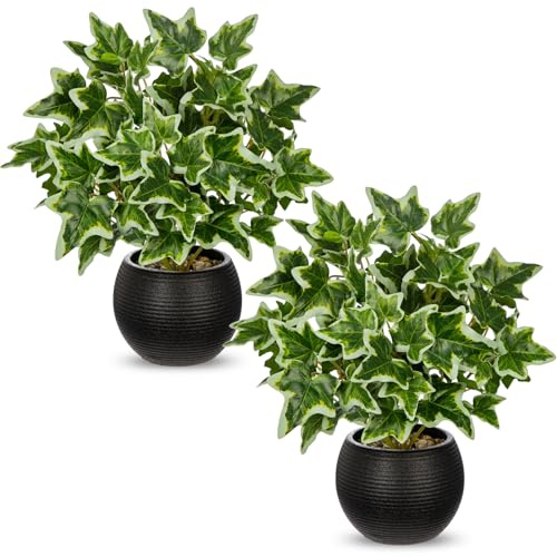 Briful Juego de 2 plantas artificiales en maceta, pequeñas plantas artificiales, plantas decorativas de interior, planta de hiedra en maceta negra, mini planta para salón, oficina, estantería, mesa