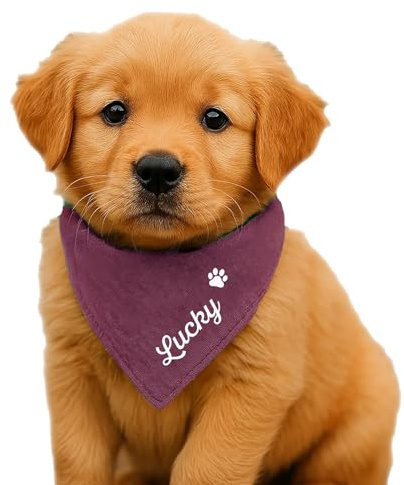 Hunde Halstuch Personalisiert Dreieckstuch aus Musselin Gaze 100% Baumwolle in 3 Grössen erhältlich, mit Namens Personalisierung aus OekoTex zertifiziertem Druckmaterial
