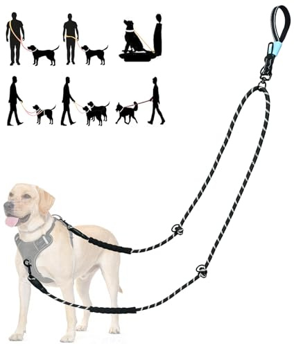 Tiesenci Laisse 2 Points Mains Libres Anti-Traction Noir Grands Chiens | Taille/crossbody, clip ceinture auto, solide & réfléchissant, anti-enchevêtrement, adapté au harnais