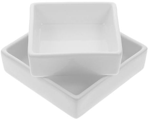 Alipis Lot de 2 petits plats en céramique - Bols à sauce en porcelaine - Pour service de nourriture, collation, dessert, apéritif - Blanc - 10,9 cm + 8,9 cm