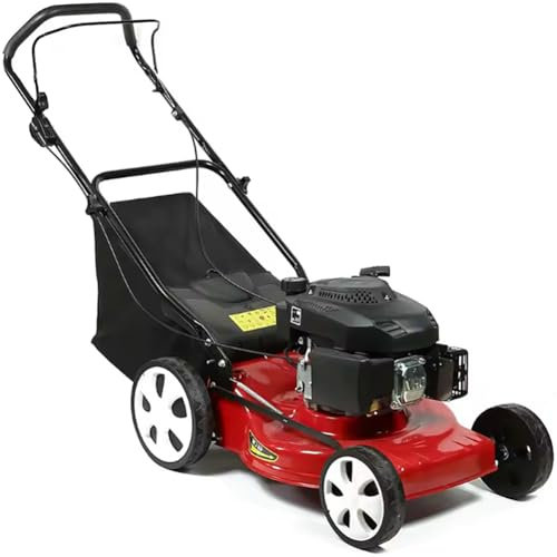 Machine de Coupe d'herbe automotrice, Petit ramasseur d'herbe de 20 Pouces, Tondeuse à Gazon à Essence pour verdissement du Parc, Sac d'herbe 4400 W 60 L, Largeur de Coupe de 51 cm