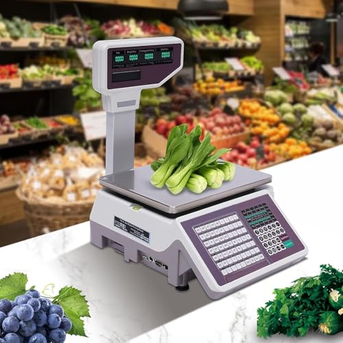 Fablestoryem Balance de Calcul de Prix Numérique Commerciale, Balance de Viande pour Aliments Au Détail de 66 Lb/30 Kg avec Imprimante D'étiquettes Thermiques, pour Grandes Boucheries Delis