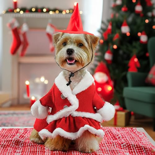 Weihnachtskostüm für Hunde - Festliches Hundekleid mit Weihnachtsmütze - Süßes Santa Outfit für Kleine bis Große Hunde - Perfekt für Weihnachten & Fotoshootings(Weihnachtskleid-Set M)