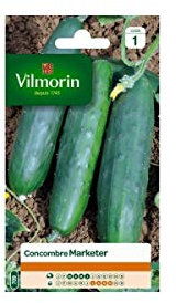 Sachet graines Concombre Marketer