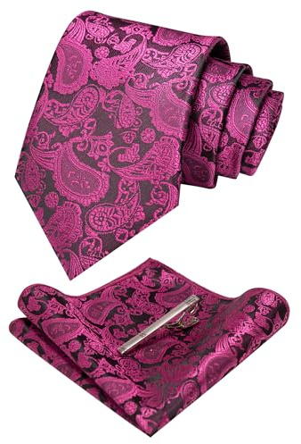 JEMYGINS Graziös Paisley Elegant Herren Krawatte und Einstecktuch mit krawattenklammer Sets