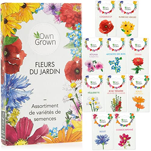 10 variétés de semences de fleurs et de fleurs comestibles - Kits prêt-à-pousser de plante pour le jardin et le balcon extérieur par OwnGrown
