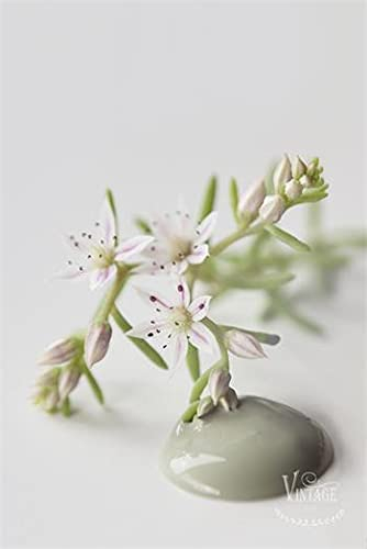 Vintage Paint by Jeanne d'Arc Living Kreidefarbe MOSS GREEN 700ml ECO Farbe Zertifiziert 701108 Feine Kreidefarbe auf Wasserbasis. Kalkfarbe matt