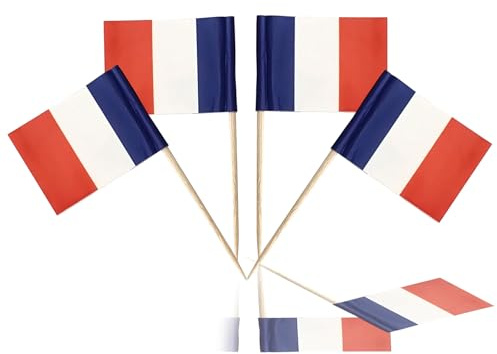 100Pcs Mini France Flags on Sticks, Toothpick Flags for Sandwich Cheese Food Label, France Flag Cupcake Toppers Countries Nation European FRA Cocktail Sticks Royal Event Table Decor