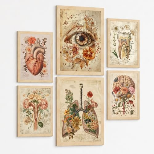 Nacnic Set Di 6 Stampe Anatomia Classica Poster E Quadri Con Occhio Cuore Dente Utero Polmoni E Cervello Stile Manoscritto Botanico Medico Senza Cornice A3 & A4 Senza Cornice