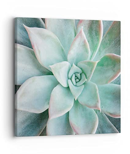 Bilder auf Leinwand Blau Blätter Agave Leinwandbild mit Rahmen 30x30cm Wandbilder Dekoration Wohnzimmer Schlafzimmer Küche Deko Klein Wanddeko Bild Wand Kunstdruck Art Wall Decor Canvas AC30x30-4628