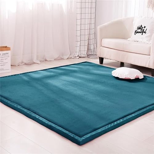 DSSHENGDS Alfombra de Sala de Alfombra Suave Lavable Moderna, Antideslizante.Manta de Juegos Alfombra Yoga,Ejercicio y Gateo De Terciopelo Coral Grueso Moderna 2cm-G- 60 * 200cm