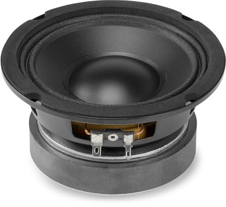 Vonyx WPP10 Altavoz de Repuesto de 4, woofer de Alta fidelidad, 50 W RMS para instalacion en Coches, impedancia de 8 ohmios, Cono de Polipropileno, suspensión de Goma, Altavoz de fácil instalación