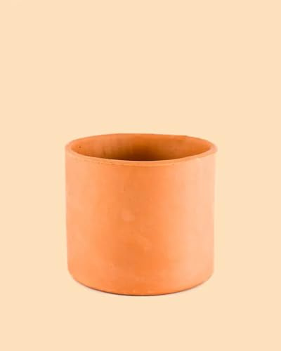 Pur Plant Maceta Terracota M 15 cm | 100% Terracota Hecha a Mano | Ideal para Todo Tipo de Plantas