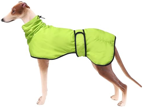 MOREZI Hunderegenmantel mit Stehkragen, Wasser- und Winddicht, mit reflektierenden Streifen und Verstellbarer magischer Schnalle, geeignet für Windhunde und Whippets-Neongrün-XXL