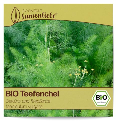Samenliebe BIO Teefenchel Samen alte Sorte Gewürz- und Teepflanze Gartenkräuter 200 Samen samenfestes Kräuter Saatgut für Küche indoor und Balkon Garten BIO Kräutersamen mehrjährig