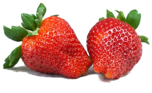 250 Seeds Strawberry Seeds, Non GMO for Hydroponics, Aquaponics, Raised Bed, Indoor, Outdoors, in Pots