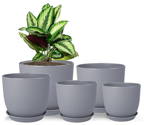 MUAEEOK Set of 5 Plant Pots 25/23/20/18/16 CM, Modern Decorative Plastic Planters with Drainage Holes and Saucers Plastic Flower Pots Nursery Planting Pot for House Indoor Flowers Plants (Grey)