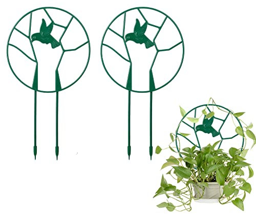 SJDWDX Paquete de 2 enrejados de jardín para plantas trepadoras, 9 enrejados pequeños de plástico para plantas en macetas de interior, soporte redondo para plantas de aves para vides, plantas de