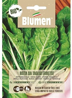 SEMI BIO BIETA DA TAGLIO ERBETTE BLUMEN