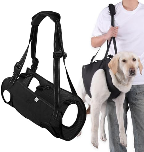 Imbracatura per Sollevamento Cani, Imbracatura per Ascensori per cani Regolabile, Supporto per Sollevamento Cani per Riabilitazione, Gilet Riabilitazione per cane Anziani Disabili Paralisi, Nero (M)