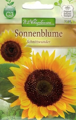 N.L.Chrestensen 5158, Helianthus Sonnenblume, Schnittwunder, Gelb