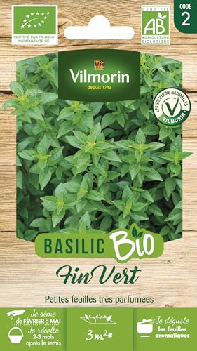 Basilic Fin Vert - BIO