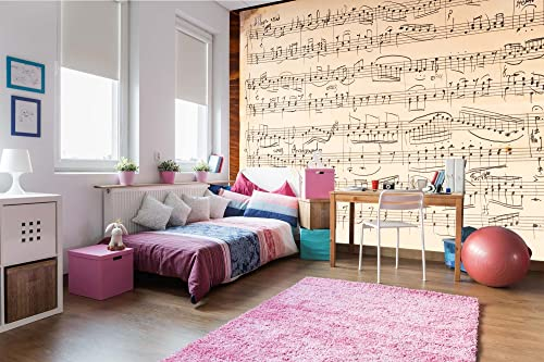 Vlies Fototapete ALTE MUSIKNOTEN 375 x 250 cm (inkl. Kleister) - Vlies Tapete, Wandtapete, Wandbilder - Tapete für Wohnzimmer Schlafzimmer, Büro, Küche - Montagefertig